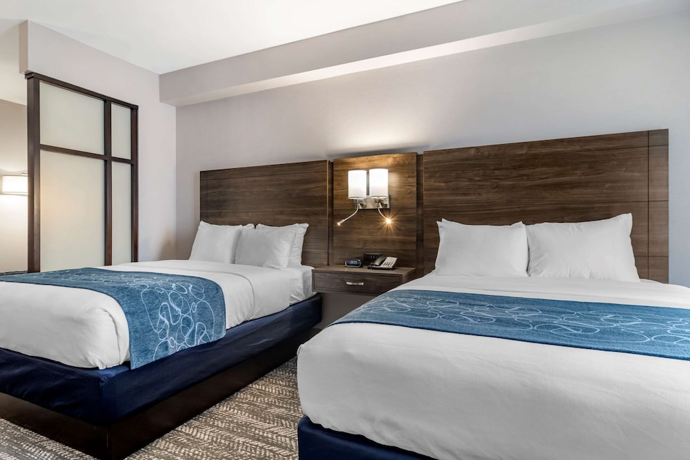 comfort suites mcdonough atlanta south