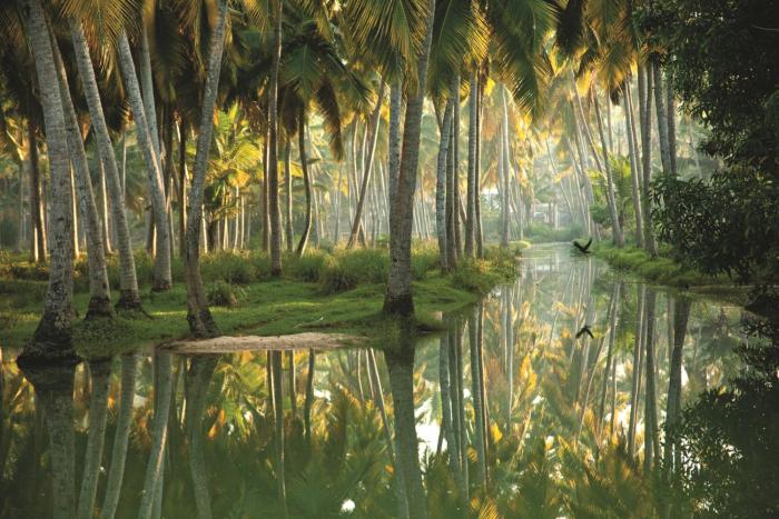 poovar