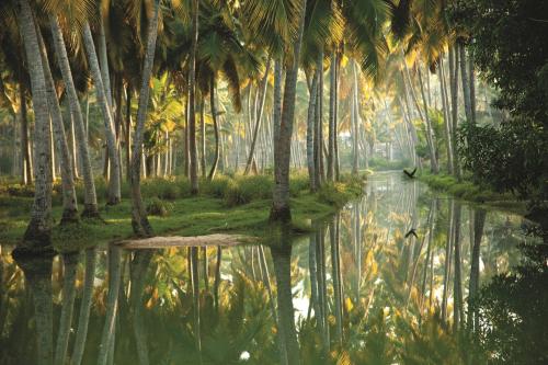 poovar