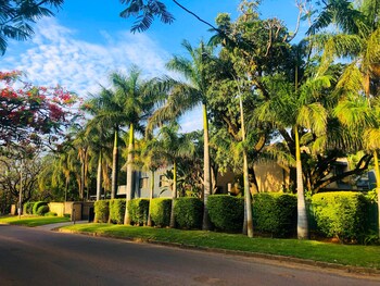 bela bela