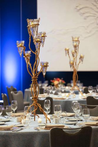 the lofton hotel tapestry collection by hilton