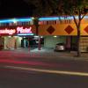 the flamingo motel