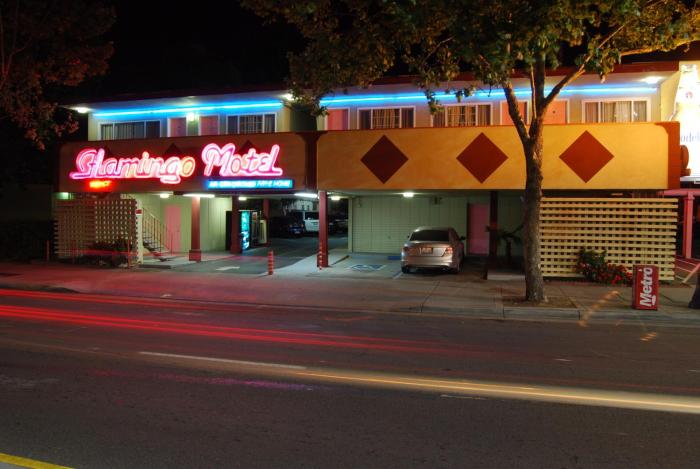 the flamingo motel