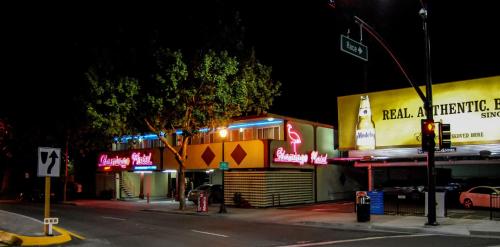 the flamingo motel