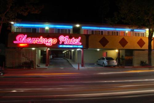 the flamingo motel