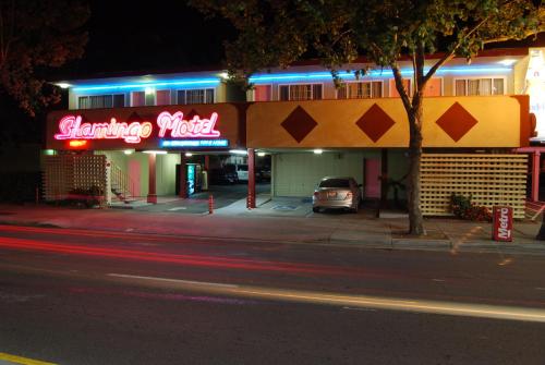 the flamingo motel