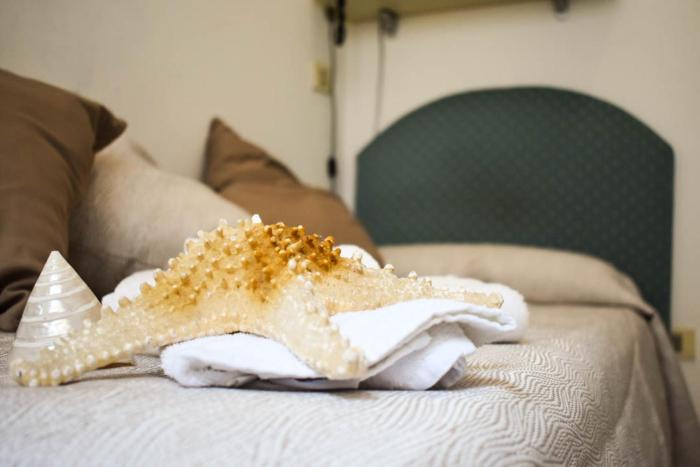 hotel embassy pesaro