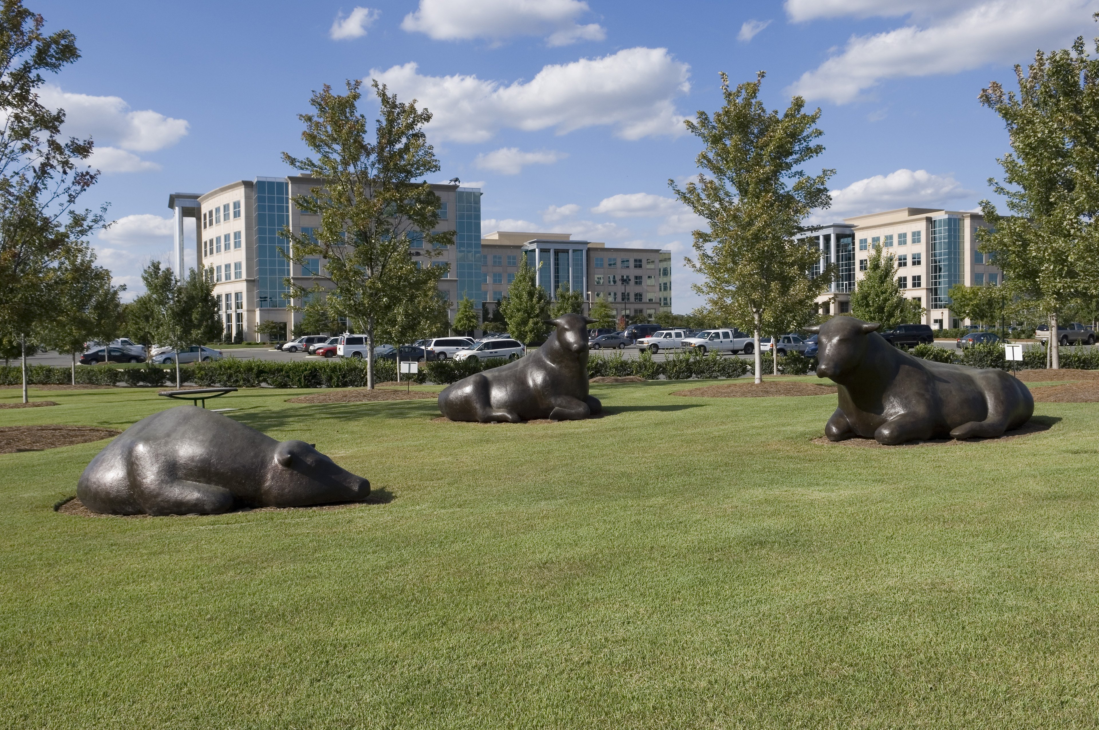staybridge suites charlotte ballantyne by ihg