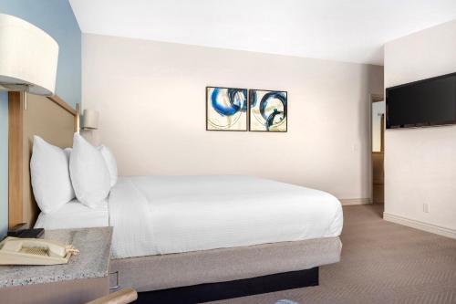 riviera beach and shores resorts