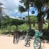seascape resort and marina