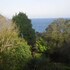 torquay