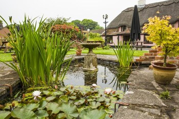 The Anvil Inn,Dorchester>>Blandford Forum,4 star
