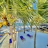 ha beach hotel zanzibar