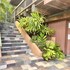 maui what a wonderful world b and b hawaii