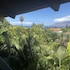 maui what a wonderful world b and b hawaii