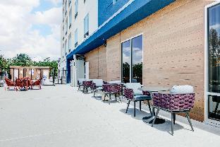 hampton inn and suites shenandoah the woodlands tx