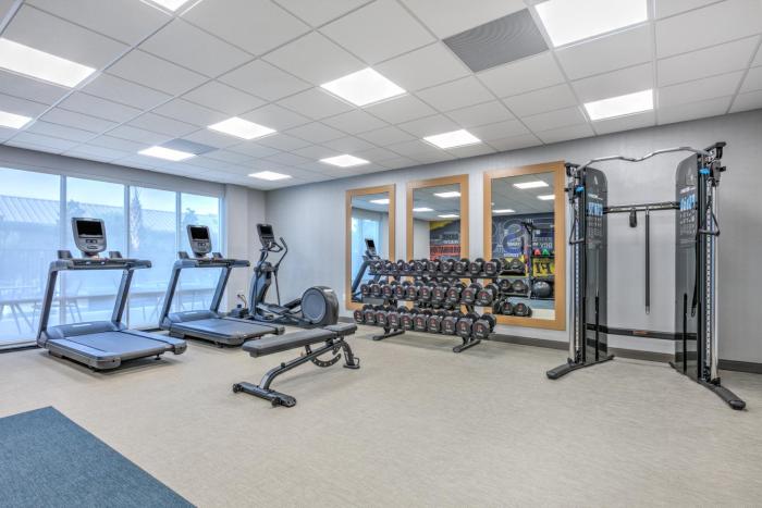 hampton inn and suites shenandoah the woodlands tx