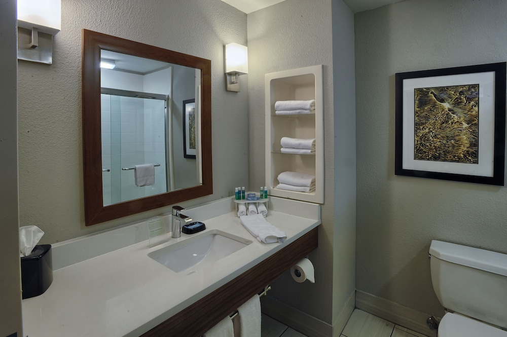 holiday inn express hotel and suites pell city by ihg