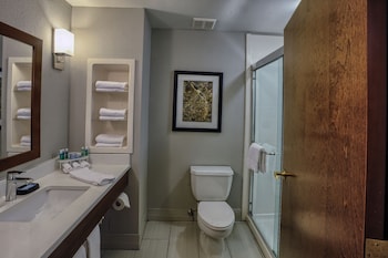 holiday inn express hotel and suites pell city by ihg