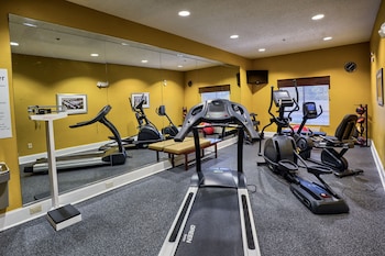 holiday inn express hotel and suites pell city by ihg