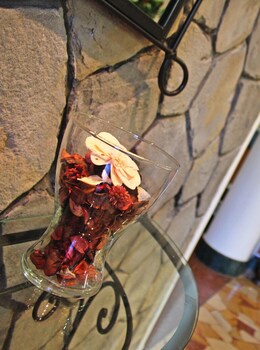 hotel new primula