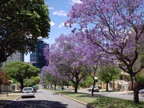 mountway holiday apartments