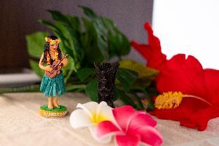 hawaiians glamping mauna village