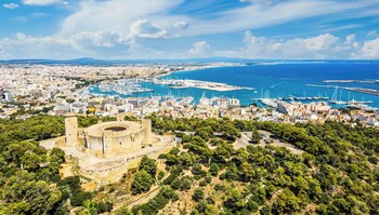 gomila palma apartments new opening