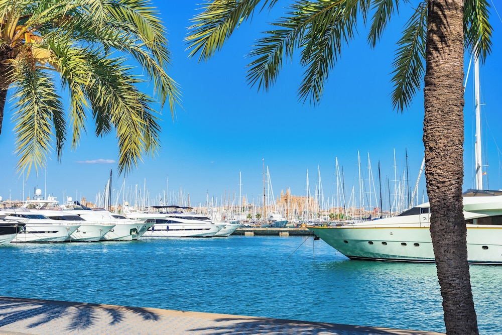 palma de mallorca