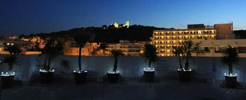 palma de mallorca