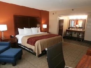 comfort inn and suites lakeland north i 4