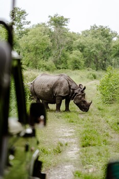 himalayan wildlife sanctuary
