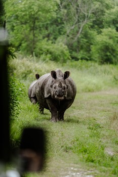 himalayan wildlife sanctuary