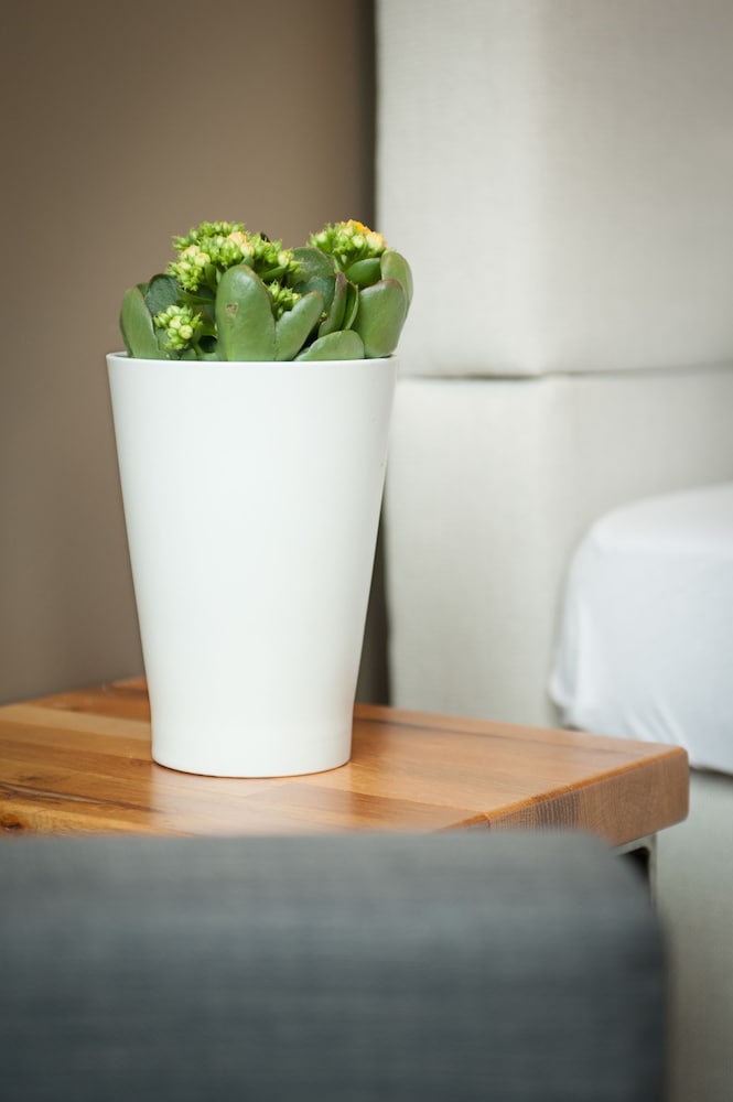 five reasons hotel and hostel