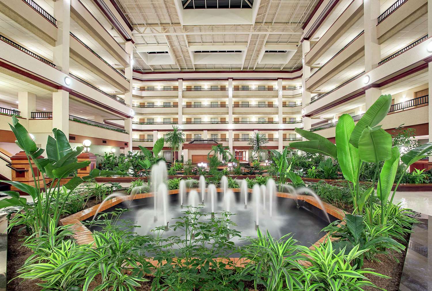 embassy suites by hilton lexington uk coldstream