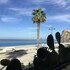 scilla