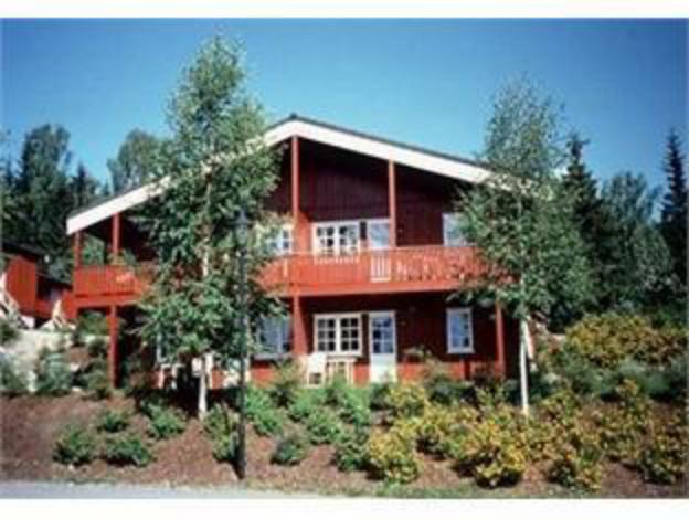 birkebeineren hotel and apartments