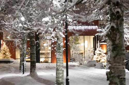 birkebeineren hotel and apartments