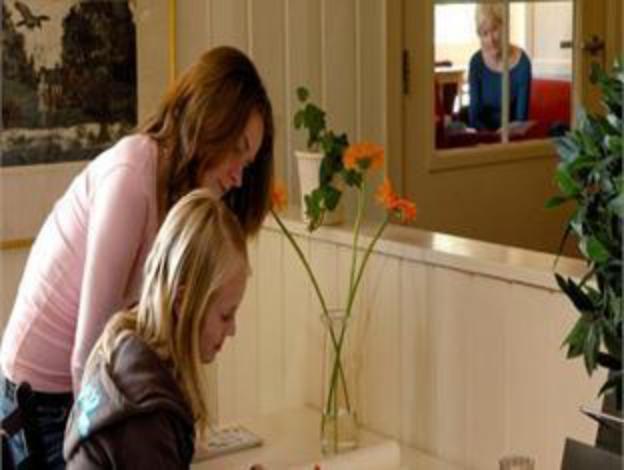 birkebeineren hotel and apartments