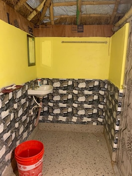 holud pakhi