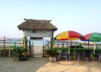 holud pakhi