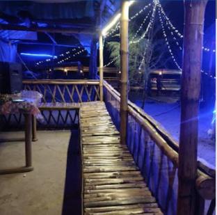 holud pakhi