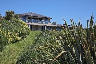 curio bay
