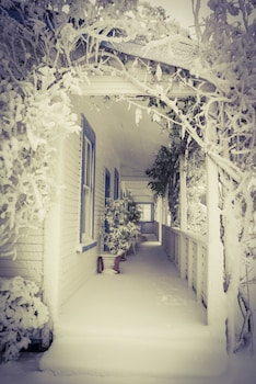 Tongariro Crossing Lodge,Mansons Siding>>Erua,5 star