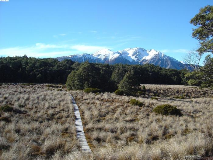 arthurs pass alpine motel