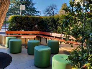 royal hotel springwood