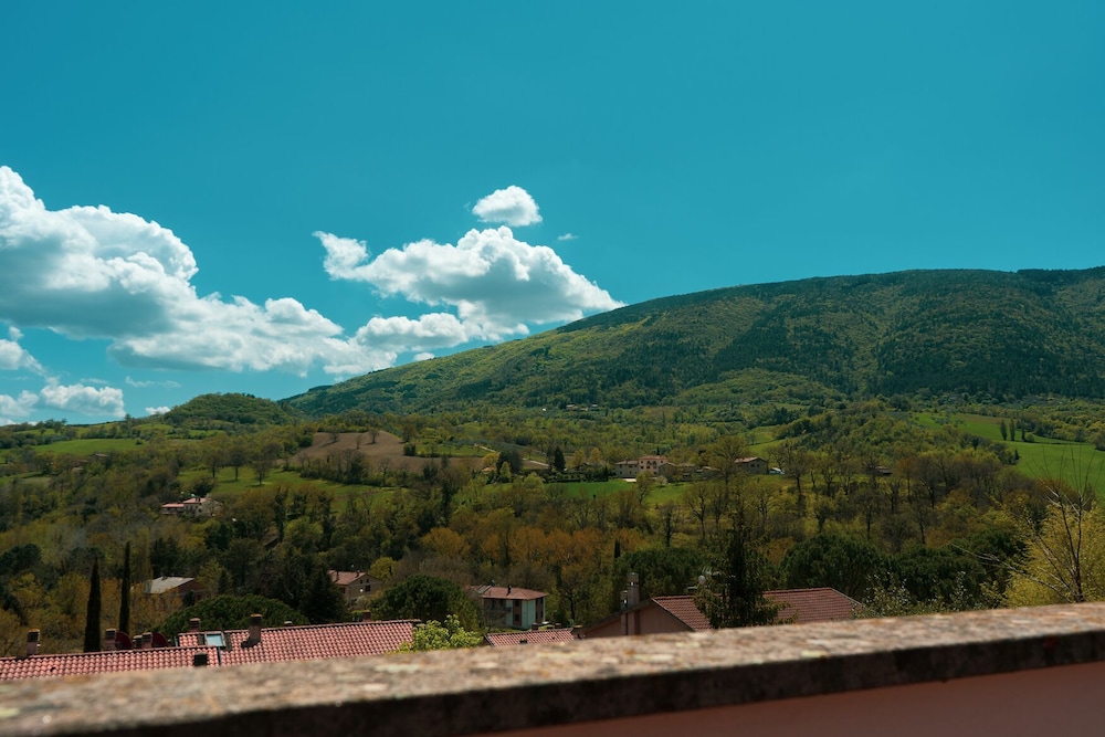 assisi