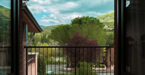 carpediem assisi living club