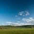 curringa farm