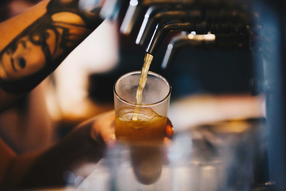 mole creek guesthouse